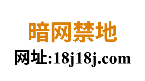 暗网禁地：互联网最黑暗角落的真相